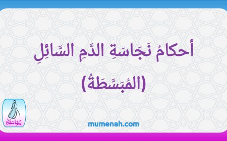 أحكامُ نَجَاسَةِ الدَّمِ السَّائِلِ (المُبَسَّطَةُ)