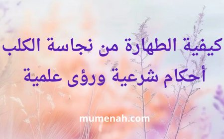 كيفية الطهارة من نجاسة الكلب: أحكام شرعية ورؤى علمية