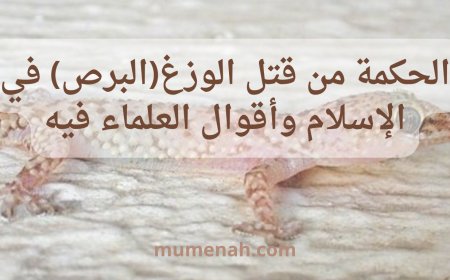 الحكمة من قتل الوزغ(البرص) في الإسلام وأقوال العلماء فيه