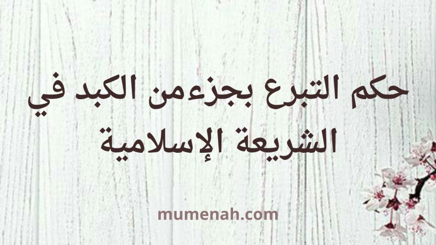حكم التبرع بجزء من الكبد في الشريعة الإسلامية