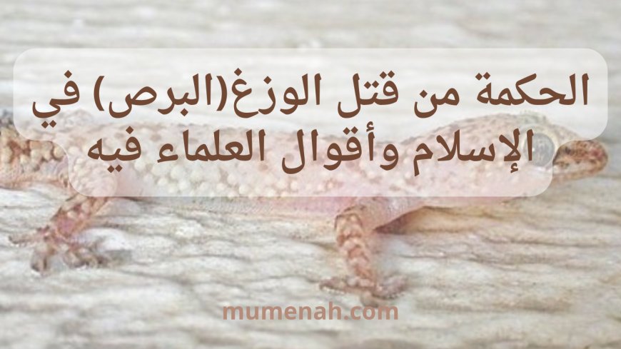 الحكمة من قتل الوزغ(البرص) في الإسلام وأقوال العلماء فيه