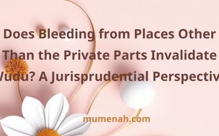 Does Bleeding from Places Other Than the Private Parts Invalidate Wudu? A Jurisprudential Perspective