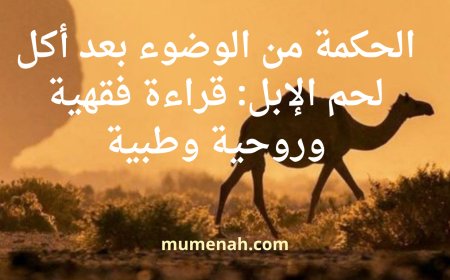 الحكمة من الوضوء بعد أكل لحم الإبل: قراءة فقهية وروحية وطبية