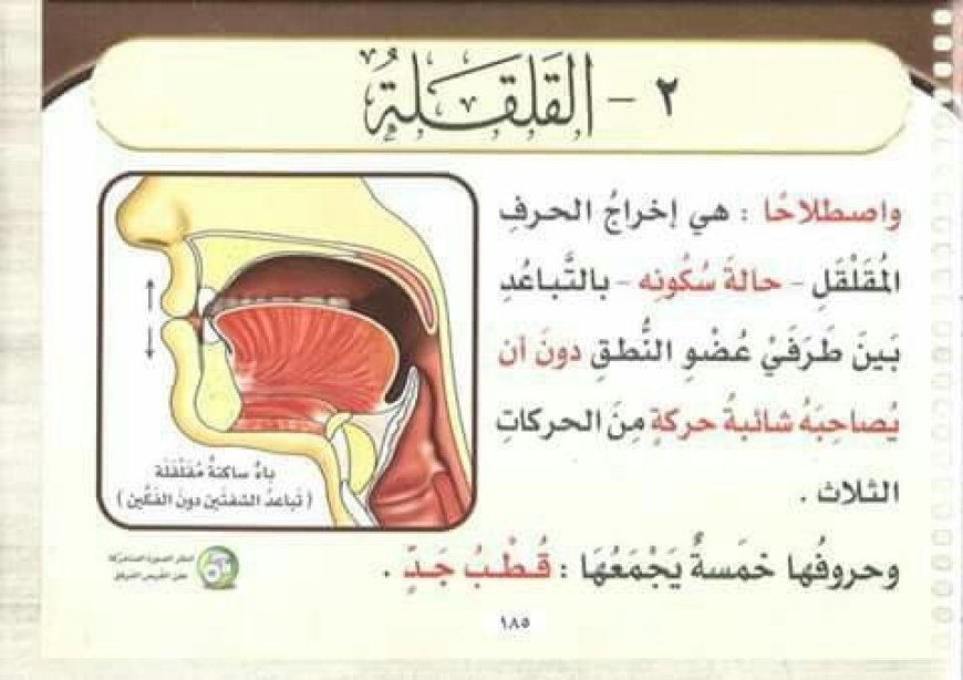 ما هي القلقلة؟