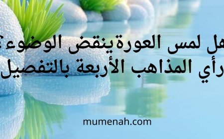 هل لمس العورة ينقض الوضوء؟ رأي المذاهب الأربعة بالتفصيل