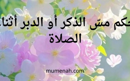 حكم مسّ الذكر أو الدبر أثناء الصلاة: التفصيل في وجود الحائل وعدمه