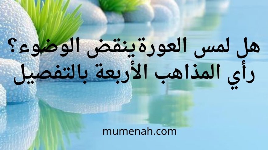 هل لمس العورة ينقض الوضوء؟ رأي المذاهب الأربعة بالتفصيل