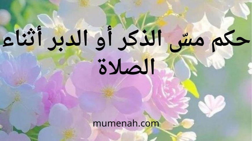 حكم مسّ الذكر أو الدبر أثناء الصلاة: التفصيل في وجود الحائل وعدمه