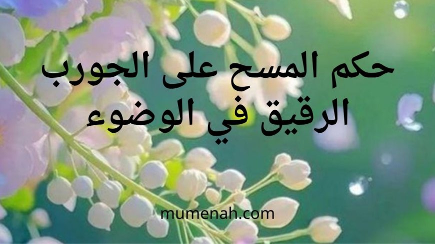 حكم المسح على الجورب الرقيق في الوضوء