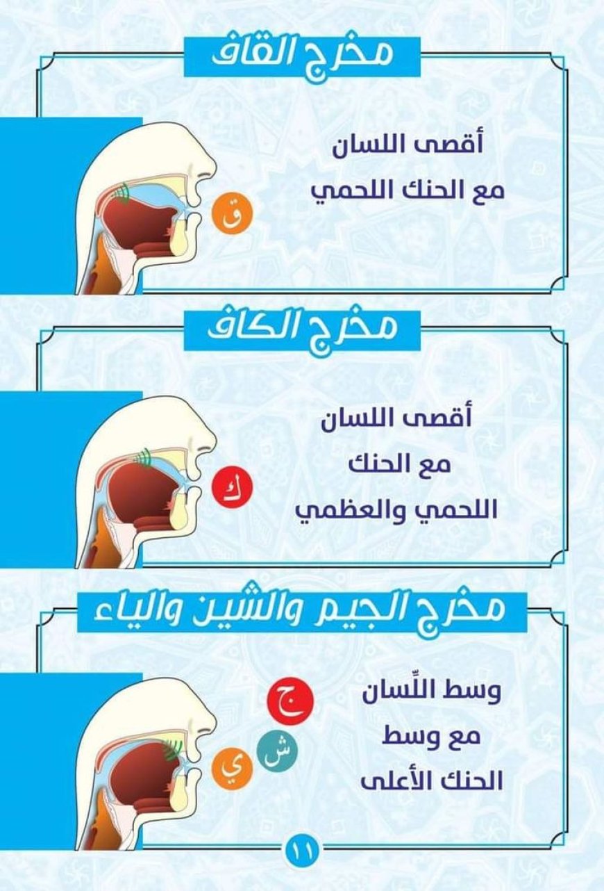 الحلق (3 مخارج - 6 حروف)