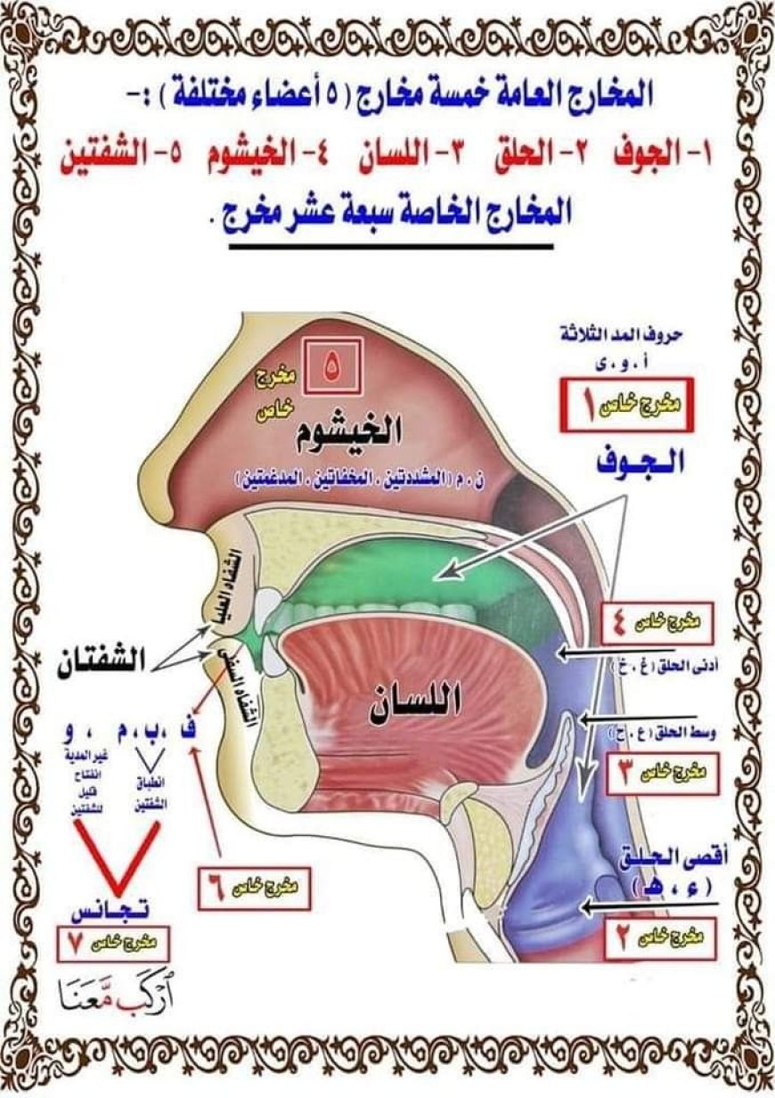 مقدمة