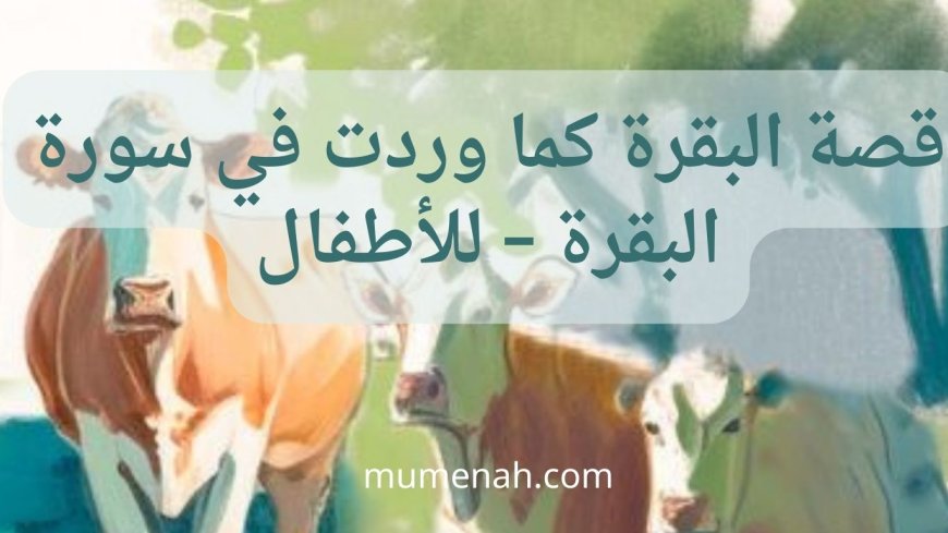 قصة البقرة كما وردت في سورة البقرة – للأطفال