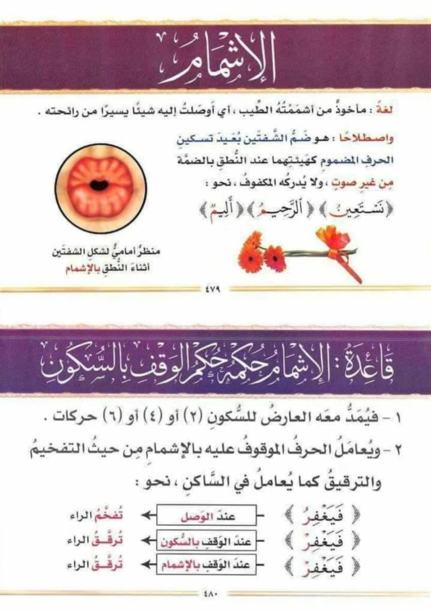 ثانياً: الإشمام