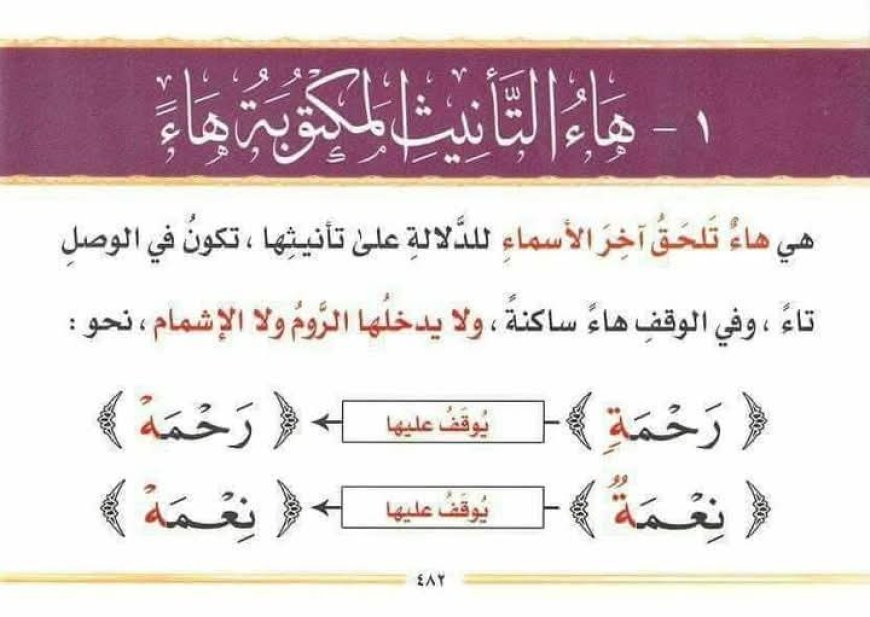 5. هاء التأنيث (التاء المربوطة)