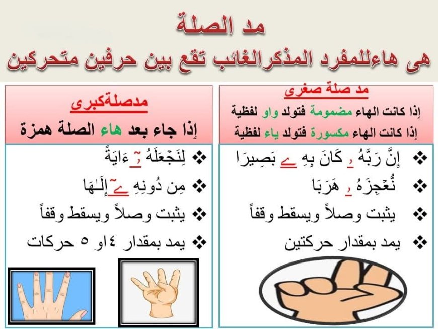 5- مد الصلة الصغرى