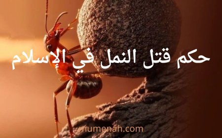حكم قتل النمل في الإسلام