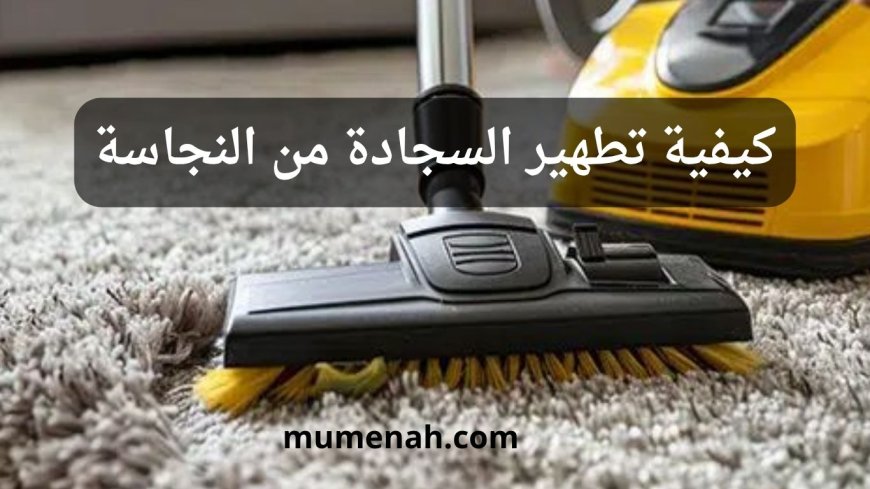 كيفية تطهير السجادة من النجاسة: الدليل الشرعي والعملي