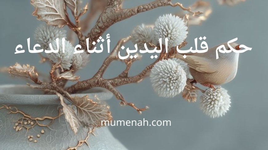 حكم قلب اليدين أثناء الدعاء