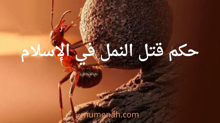 حكم قتل النمل في الإسلام
