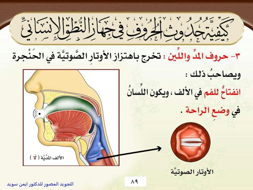 كيفية حدوث حروف المد واللين