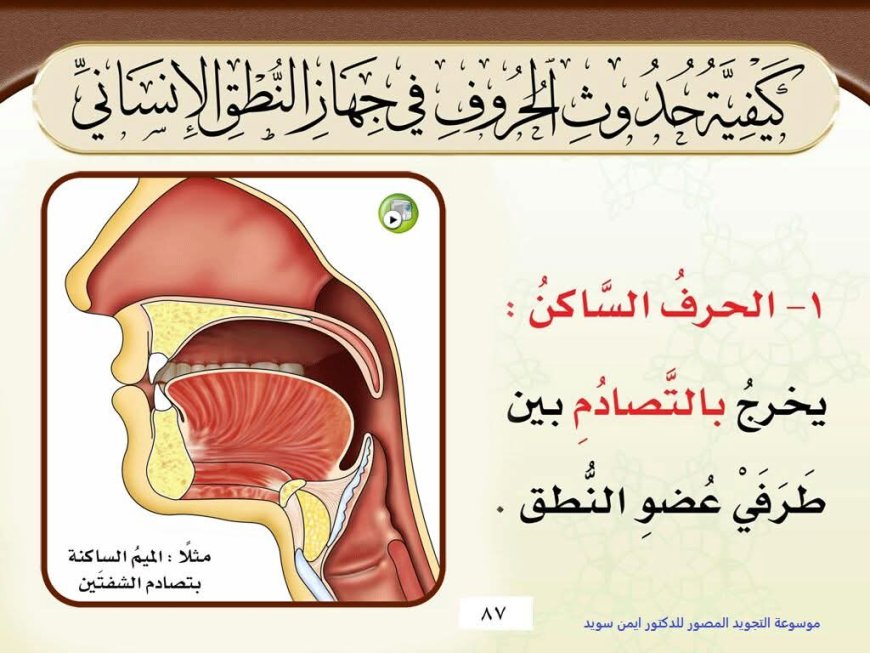 كيفية حدوث الحروف الساكنة