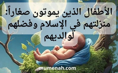 الأطفال الذين يموتون صغاراً: منزلتهم في الإسلام وفضلهم لوالديهم