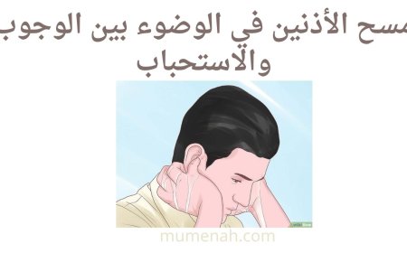 مسح الأذنين في الوضوء بين الوجوب والاستحباب