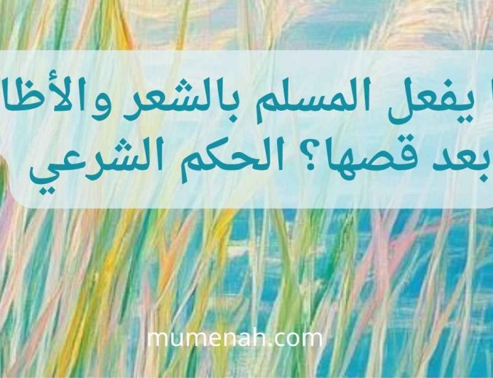 ماذا يفعل المسلم بالشعر والأظافر بعد قصها؟ الحكم الشرعي