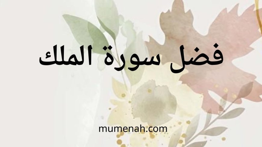 فضل سورة الملك: المانعة والمنجية من عذاب القبر
