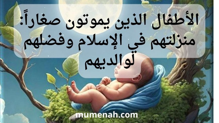 الأطفال الذين يموتون صغاراً: منزلتهم في الإسلام وفضلهم لوالديهم