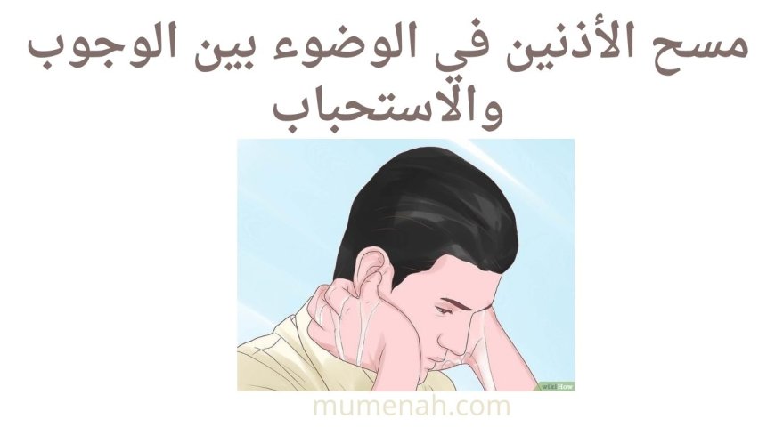 مسح الأذنين في الوضوء بين الوجوب والاستحباب