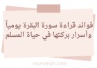 فوائد قراءة سورة البقرة يومياً وأسرار بركتها في حياة المسلم
