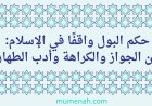 حكم البول واقفًا في الإسلام: بين الجواز والكراهة وأدب الطهارة