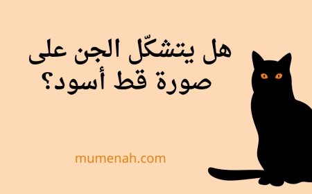 هل يتشكّل الجن على صورة قط أسود؟ القول الشرعي والأدلة وكيفية التعامل