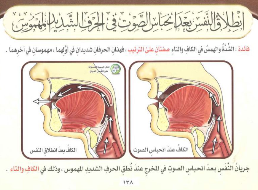 كيف تخلّصت العرب من صفة الشدة في هذه الحروف