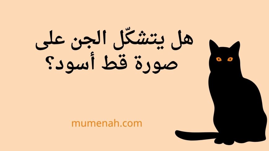 هل يتشكّل الجن على صورة قط أسود؟ القول الشرعي والأدلة وكيفية التعامل