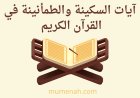 آيات السكينة في القرآن الكريم: معناها، مواضعها، وأثرها في طمأنينة القلب