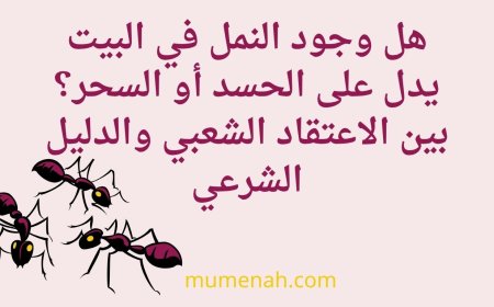 هل وجود النمل في البيت يدل على الحسد أو السحر؟ بين الاعتقاد الشعبي والدليل الشرعي