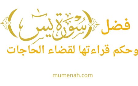 فضل سورة يس وحكم قراءتها لقضاء الحاجات: دراسة شرعية حديثية موسّعة