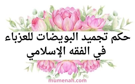 حكم تجميد البويضات للعزباء في الفقه الإسلامي