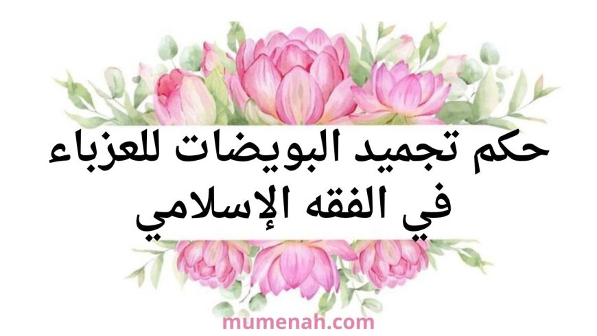 حكم تجميد البويضات للعزباء في الفقه الإسلامي