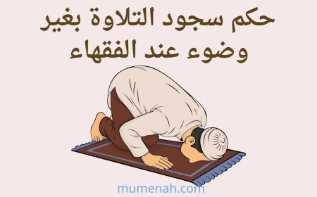 حكم سجود التلاوة بغير وضوء عند الفقهاء