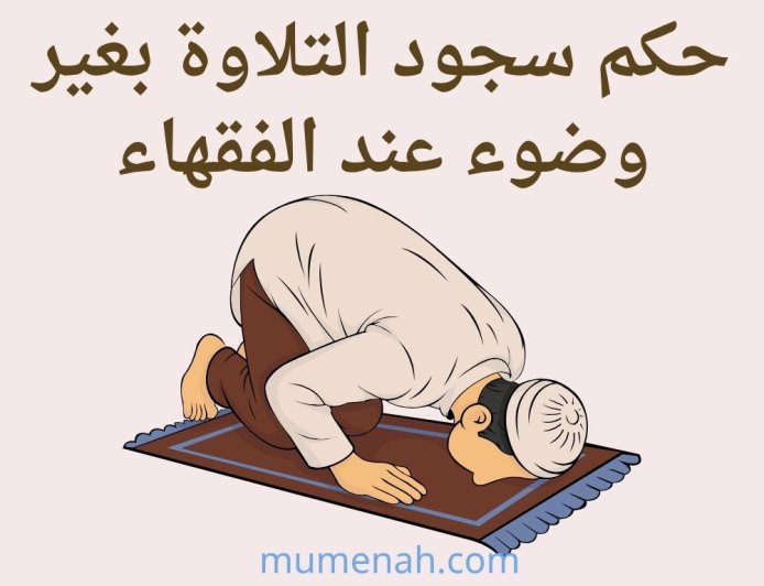حكم سجود التلاوة بغير وضوء عند الفقهاء