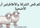 حكم قص الشعر والأظافر لمن أراد الأضحية وأقوال الفقهاء فيه