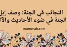 النجائب في الجنة: وصف إبل الجنة في ضوء الأحاديث والآثار
