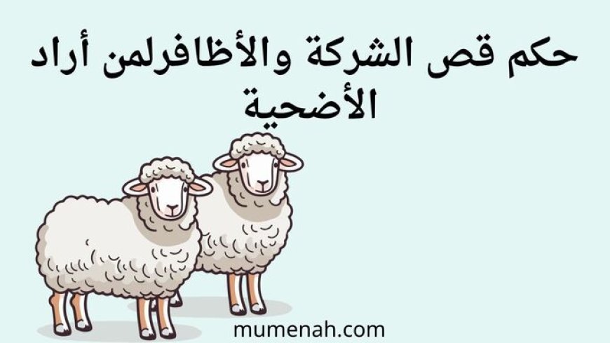 حكم قص الشعر والأظافر لمن أراد الأضحية وأقوال الفقهاء فيه